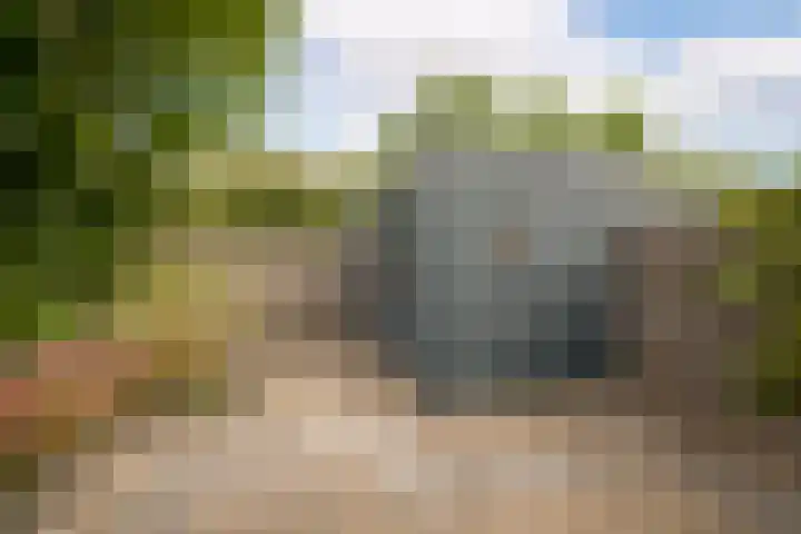 Rietgans 11 Hoogkarspel thumbnail 33