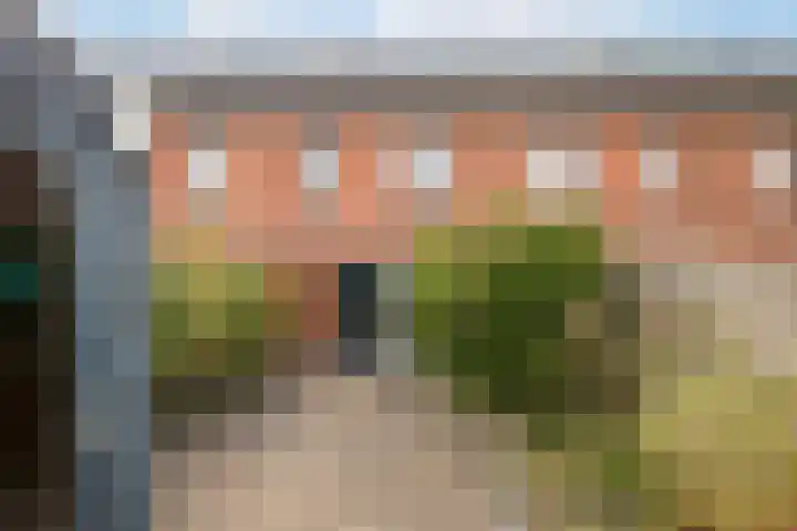 Rietgans 11 Hoogkarspel thumbnail 34