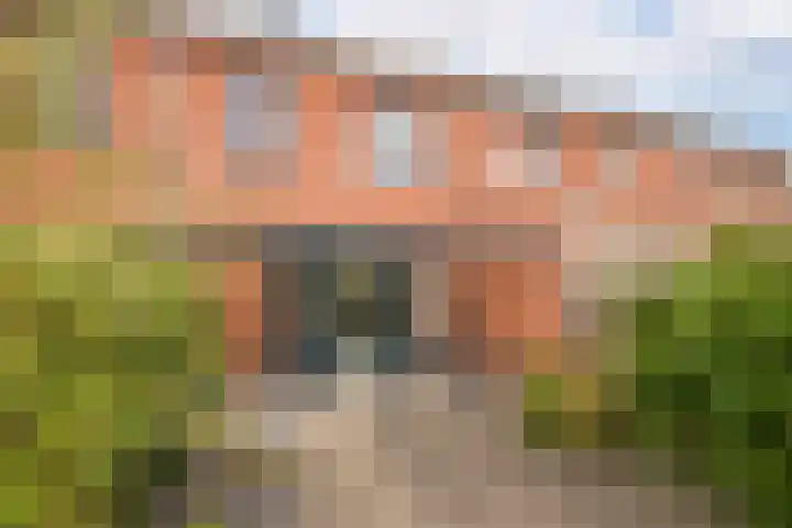 Rietgans 11 Hoogkarspel thumbnail 35