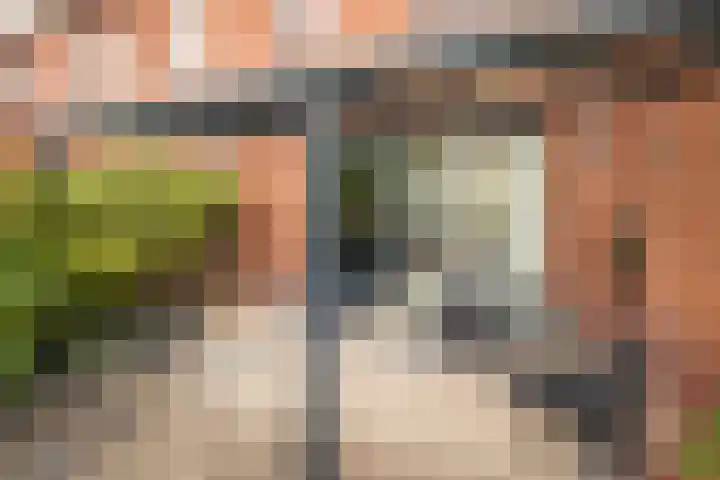 Rietgans 11 Hoogkarspel thumbnail 36