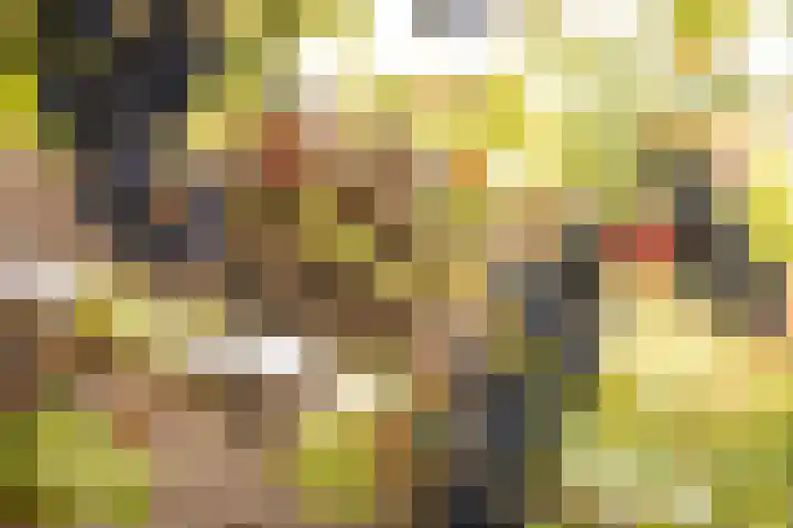 Rietgans 11 Hoogkarspel thumbnail 37