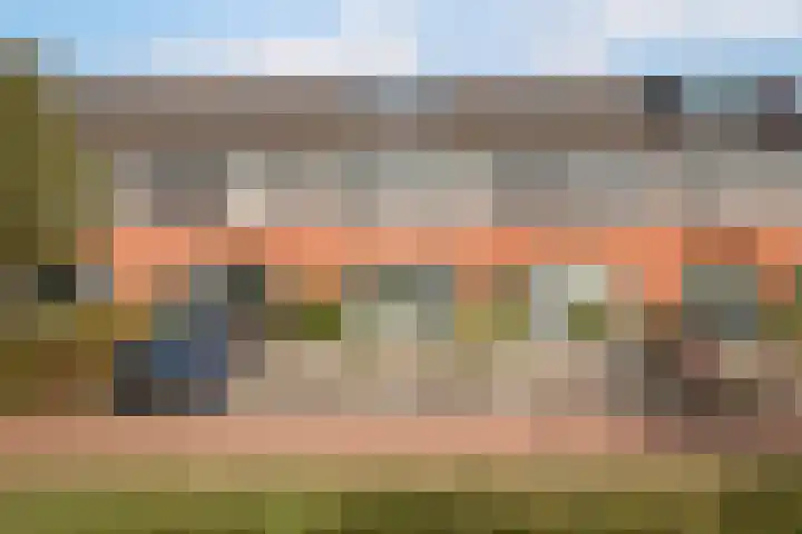 Rietgans 11 Hoogkarspel thumbnail 38