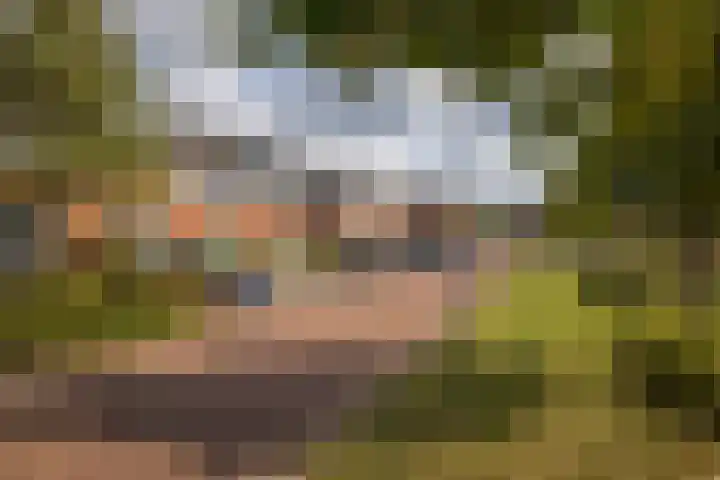 Rietgans 11 Hoogkarspel thumbnail 39