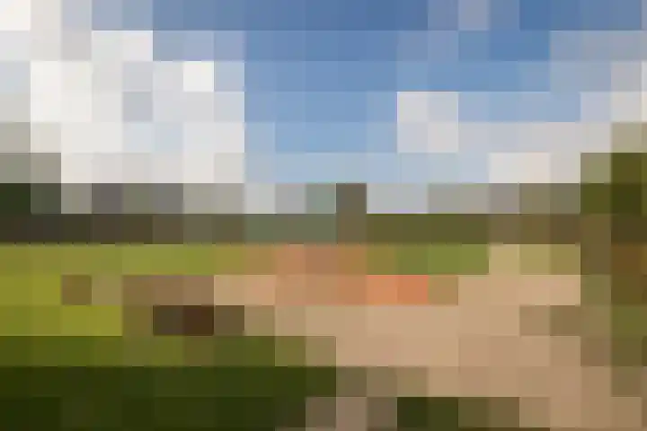 Rietgans 11 Hoogkarspel thumbnail 40