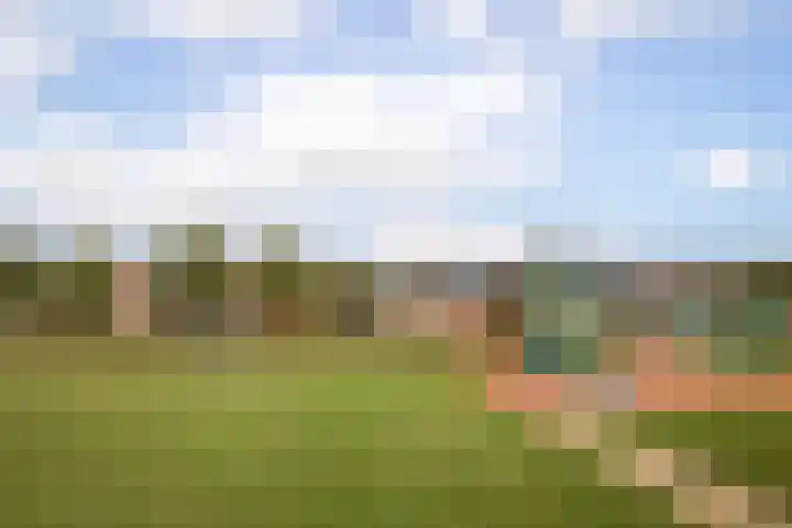 Rietgans 11 Hoogkarspel thumbnail 41
