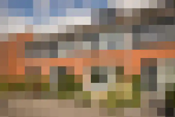 Rietgans 11 Hoogkarspel thumbnail 5