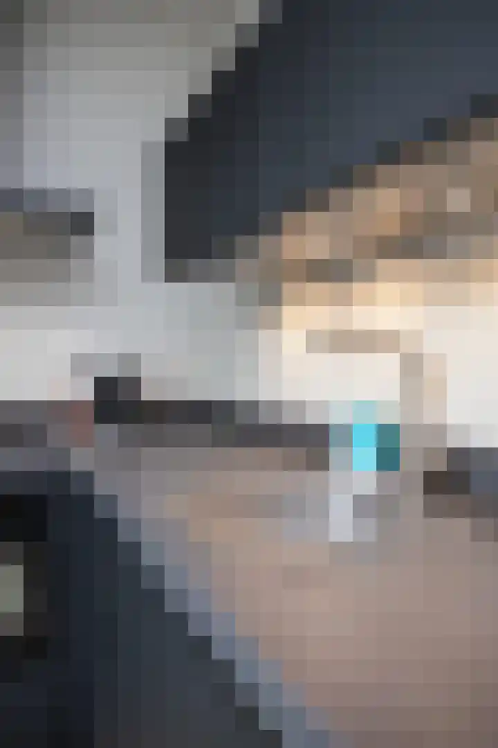Rietgans 11 Hoogkarspel thumbnail 53