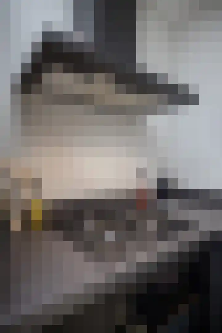 Rietgans 11 Hoogkarspel thumbnail 54