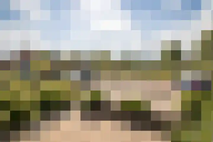 Rietgans 11 Hoogkarspel thumbnail 6
