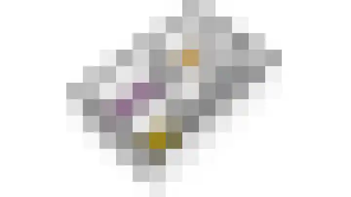 Rietgans 11 Hoogkarspel thumbnail 61