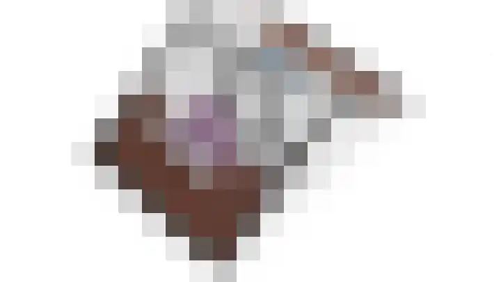 Rietgans 11 Hoogkarspel thumbnail 63