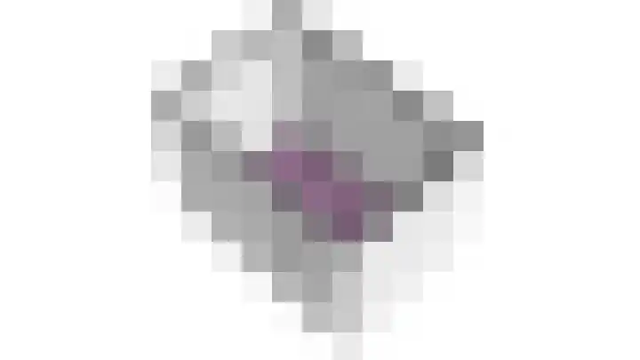 Rietgans 11 Hoogkarspel thumbnail 65