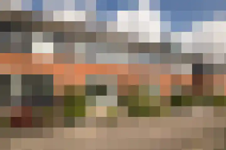 Rietgans 11 Hoogkarspel thumbnail 66