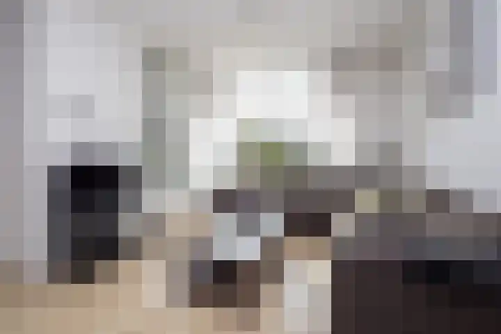 Rietgans 11 Hoogkarspel thumbnail 9