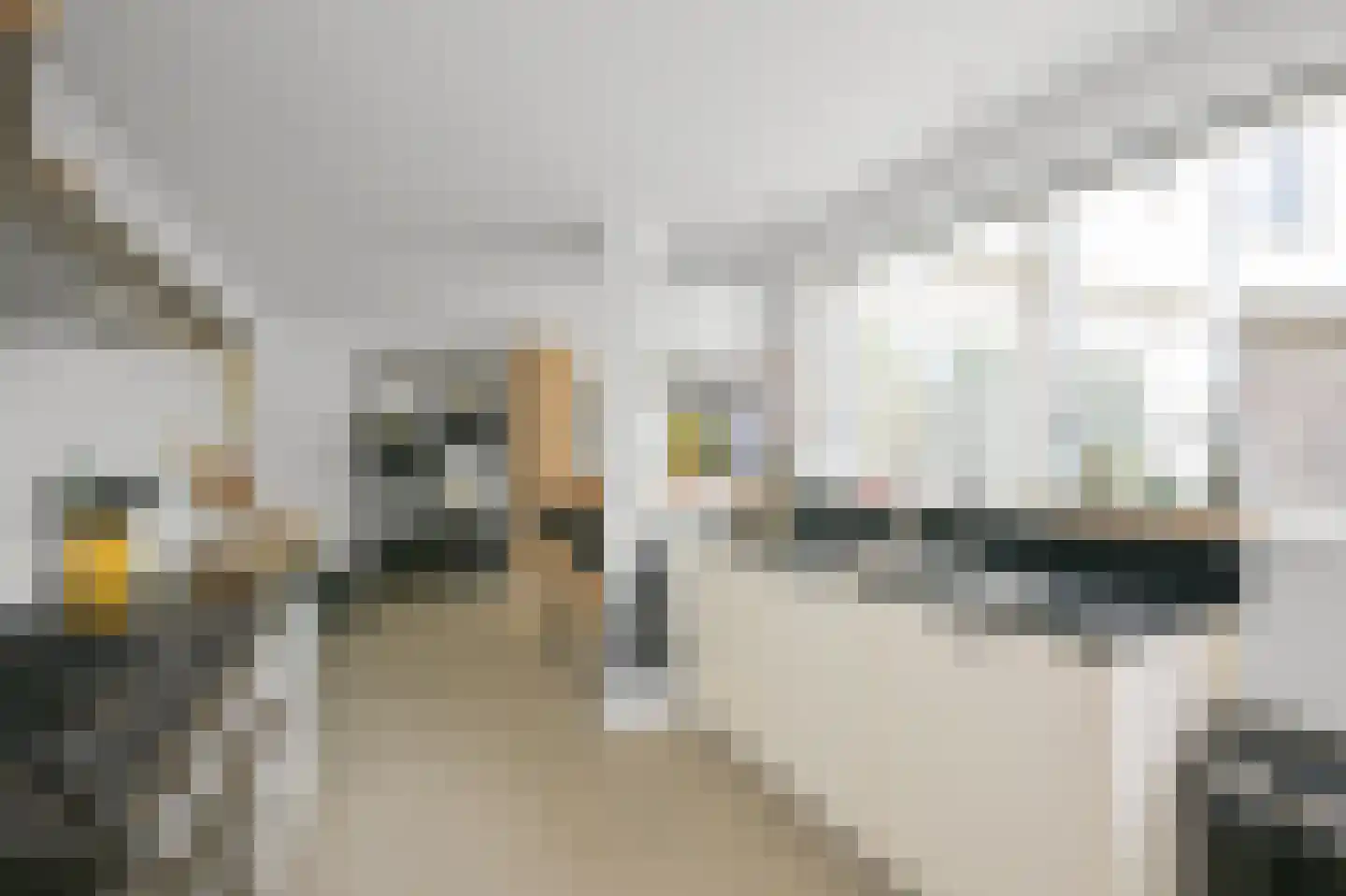 Rietgans 15 Uithoorn thumbnail 10