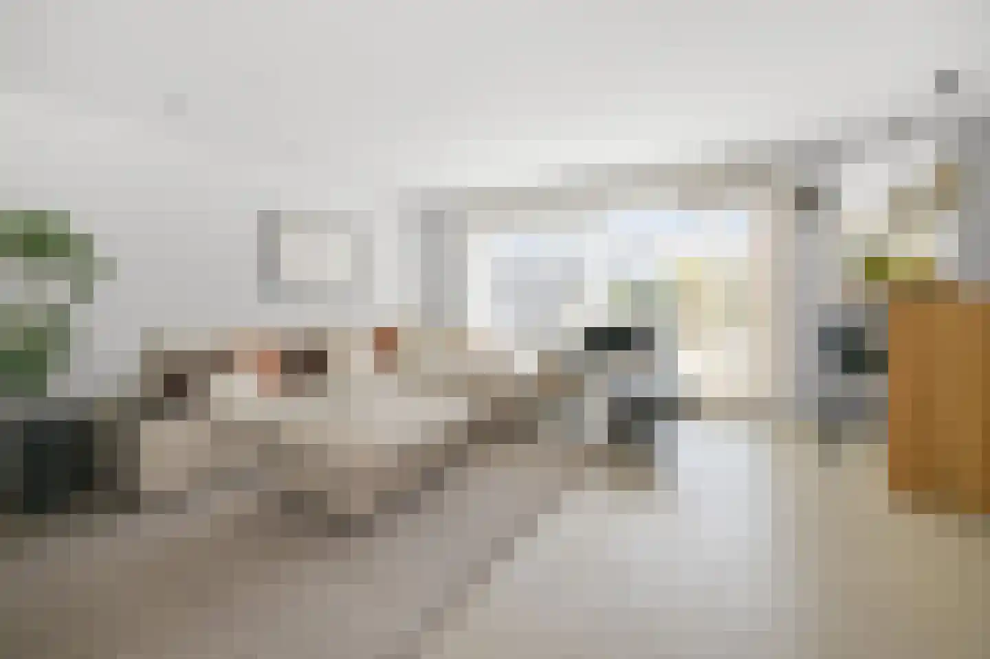 Rietgans 15 Uithoorn thumbnail 12