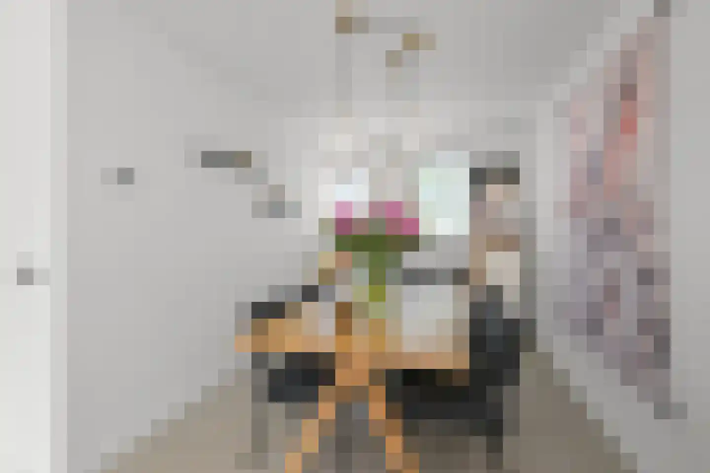 Rietgans 15 Uithoorn thumbnail 13