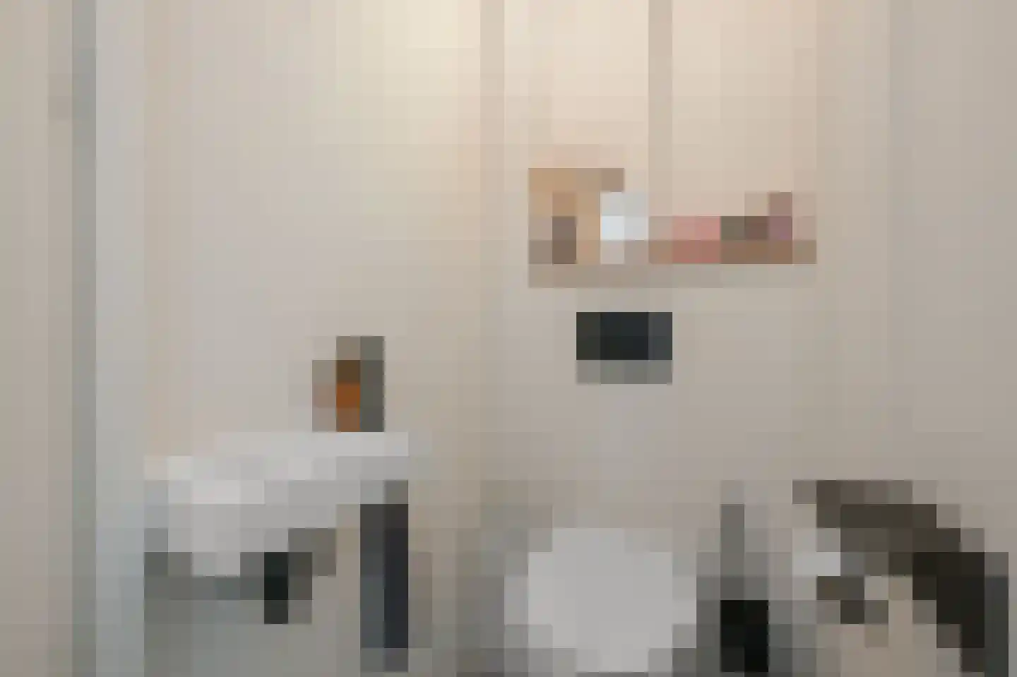 Rietgans 15 Uithoorn thumbnail 15