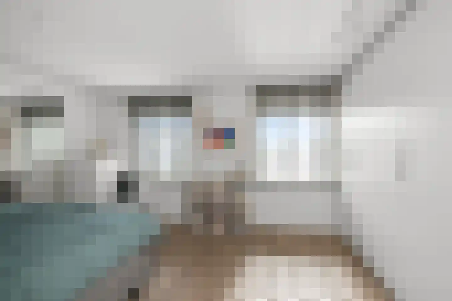 Rietgans 15 Uithoorn thumbnail 17