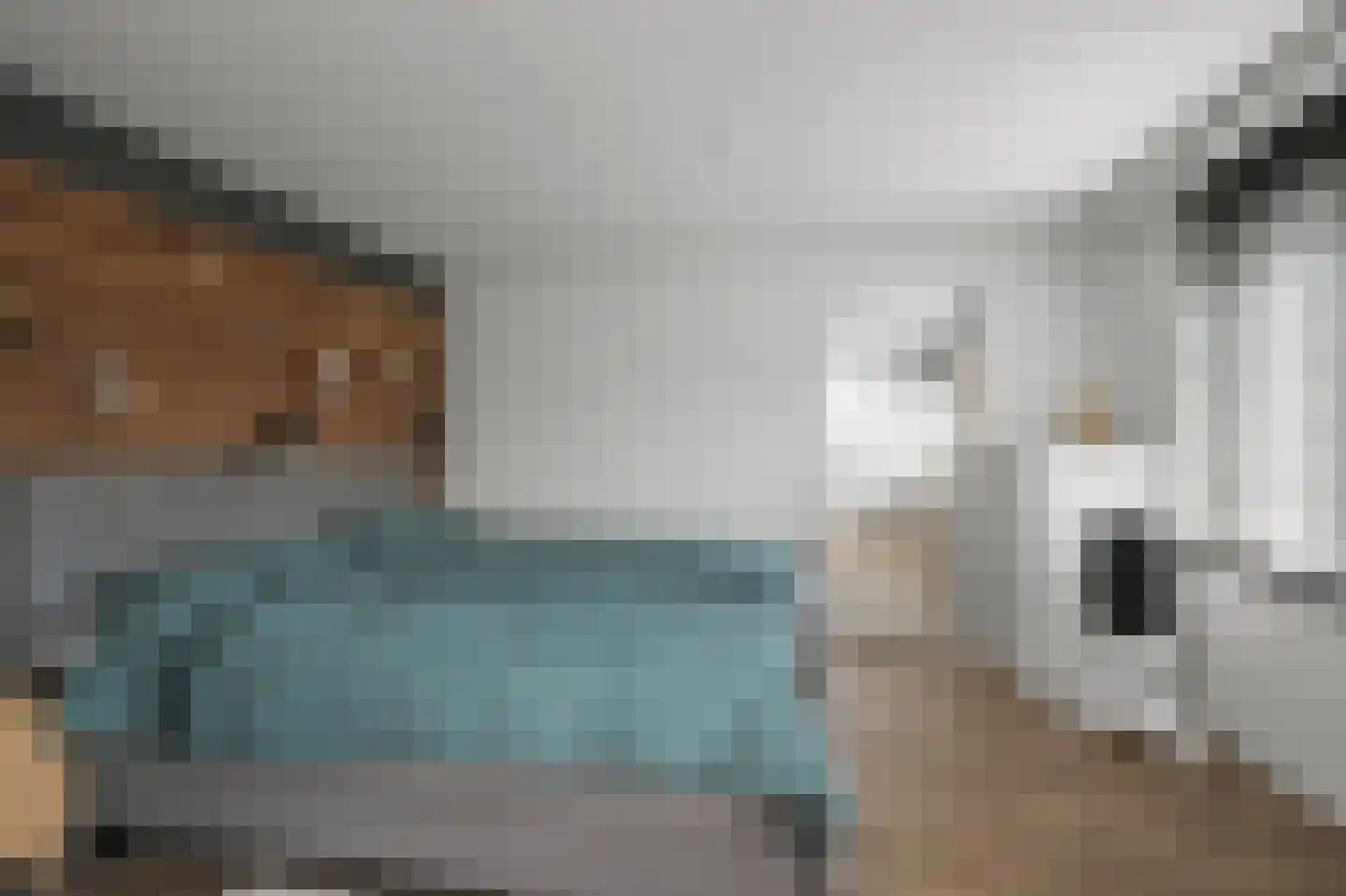 Rietgans 15 Uithoorn thumbnail 18