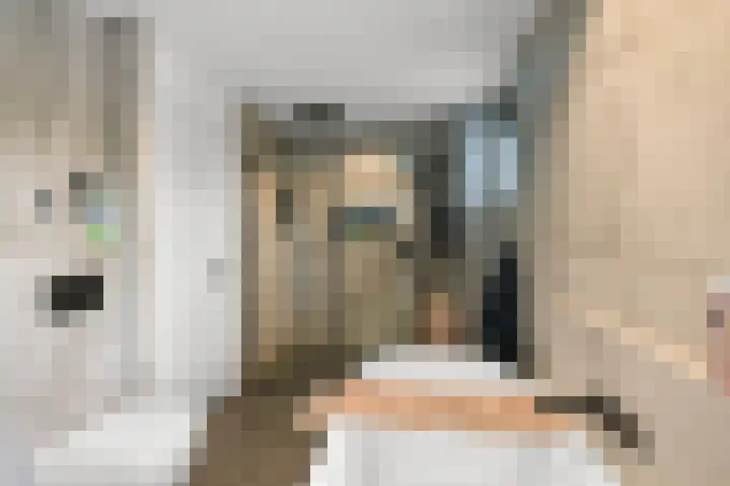 Rietgans 15 Uithoorn thumbnail 25