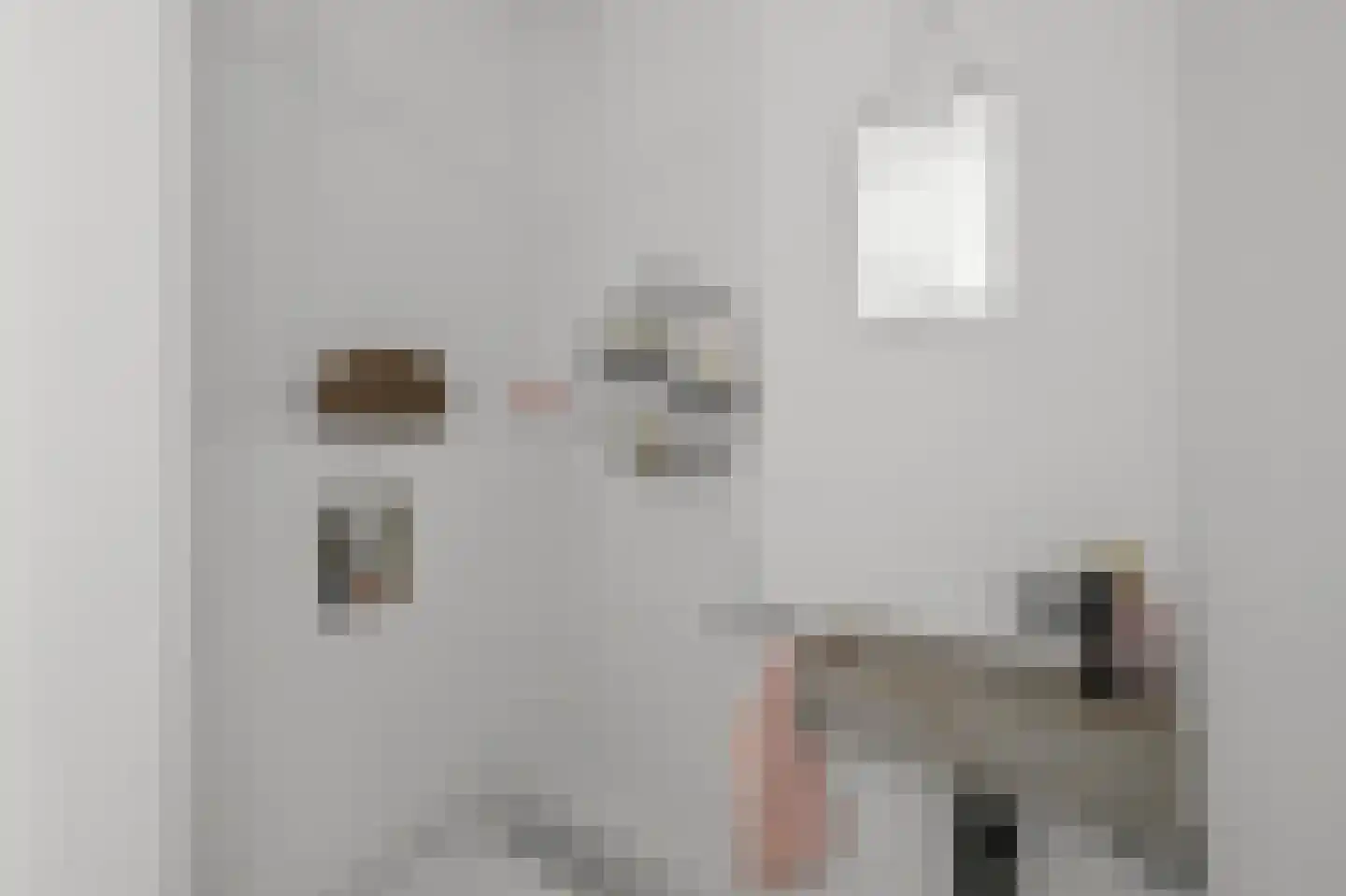 Rietgans 15 Uithoorn thumbnail 29
