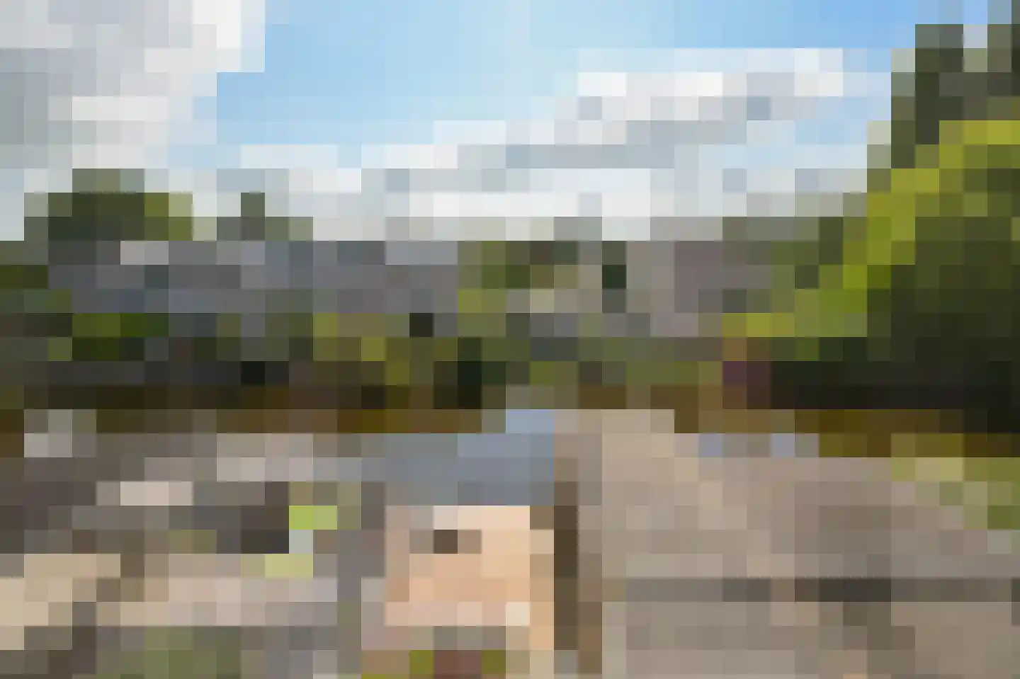 Rietgans 15 Uithoorn thumbnail 32
