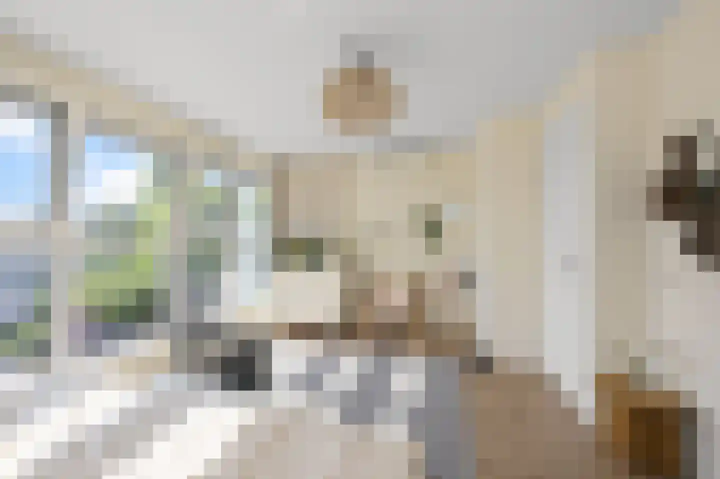 Rietgans 15 Uithoorn thumbnail 35