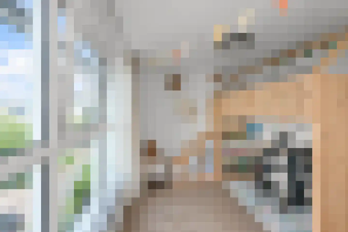 Rietgans 15 Uithoorn thumbnail 36