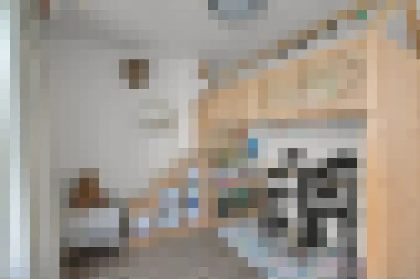 Rietgans 15 Uithoorn thumbnail 38