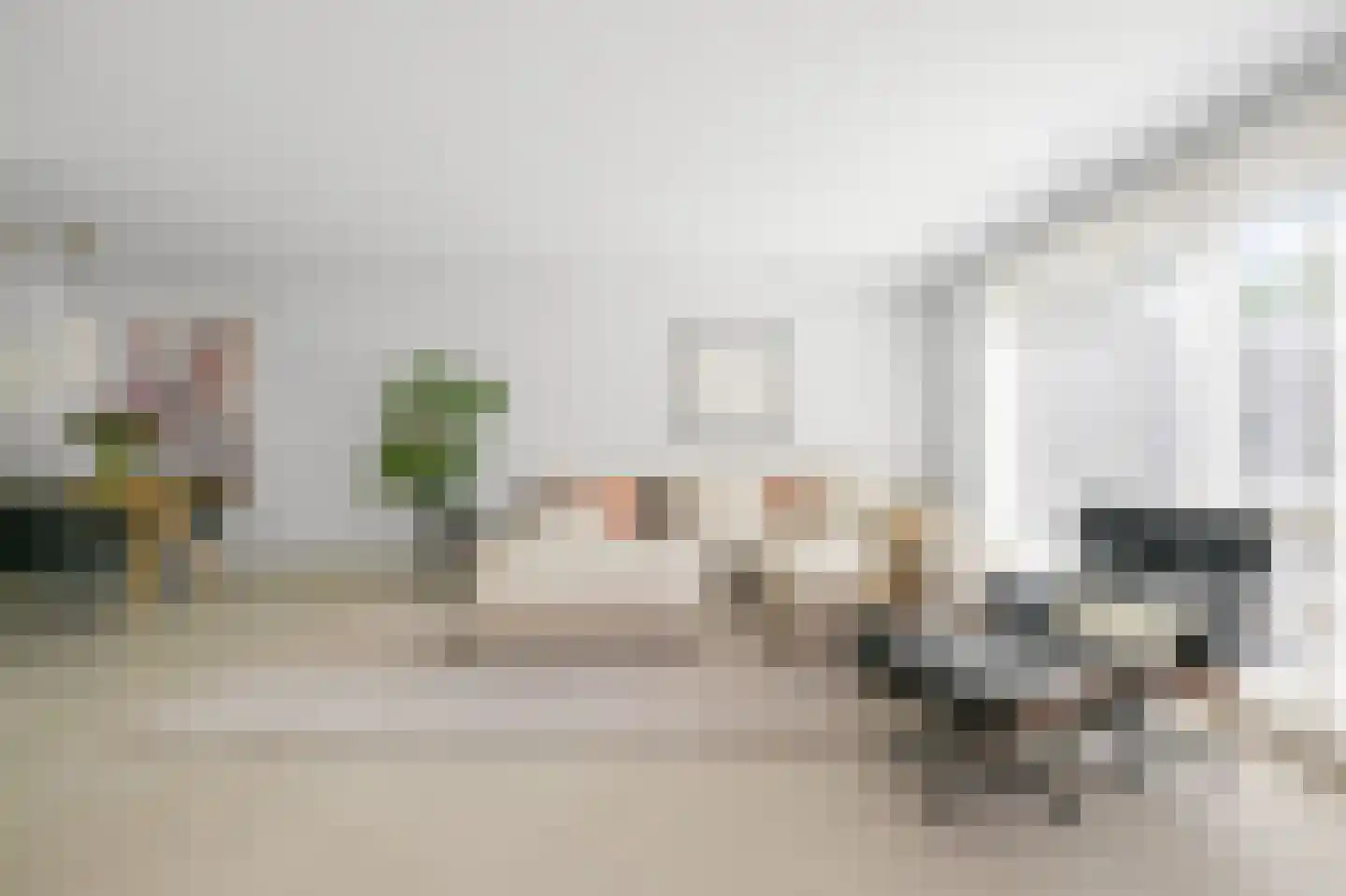 Rietgans 15 Uithoorn thumbnail 4