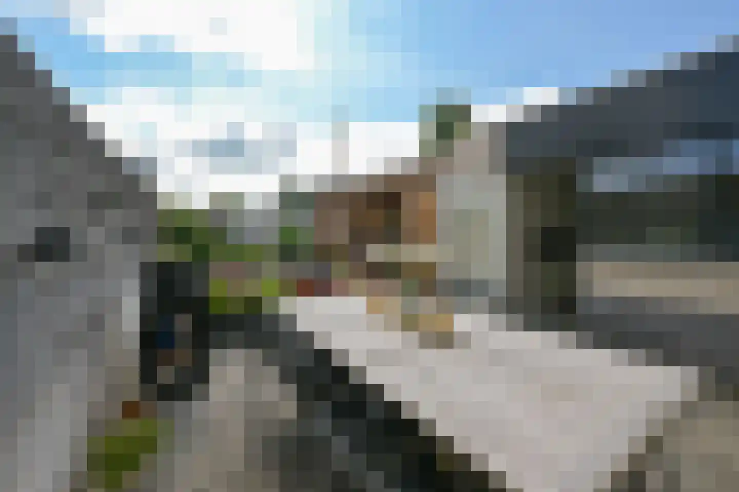 Rietgans 15 Uithoorn thumbnail 40