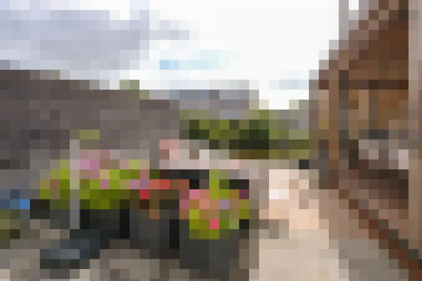Rietgans 15 Uithoorn thumbnail 41