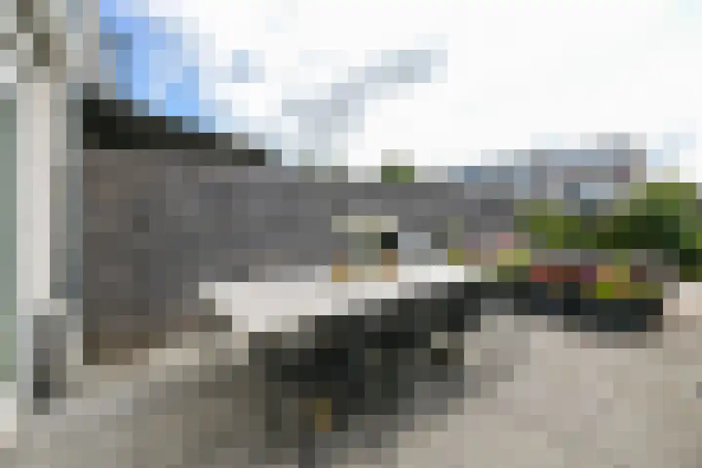 Rietgans 15 Uithoorn thumbnail 42