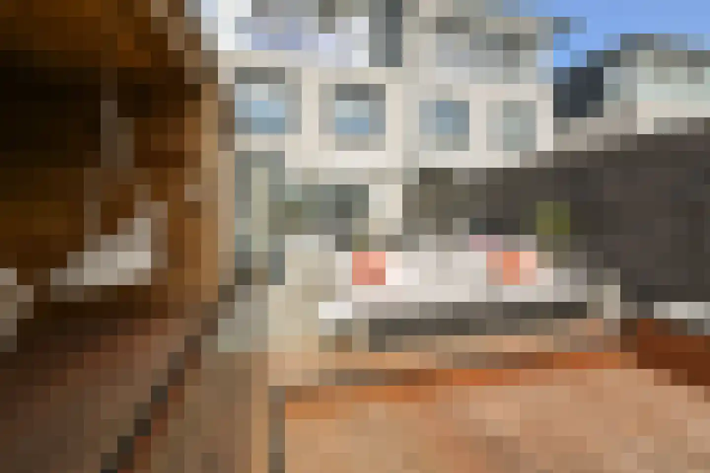 Rietgans 15 Uithoorn thumbnail 43