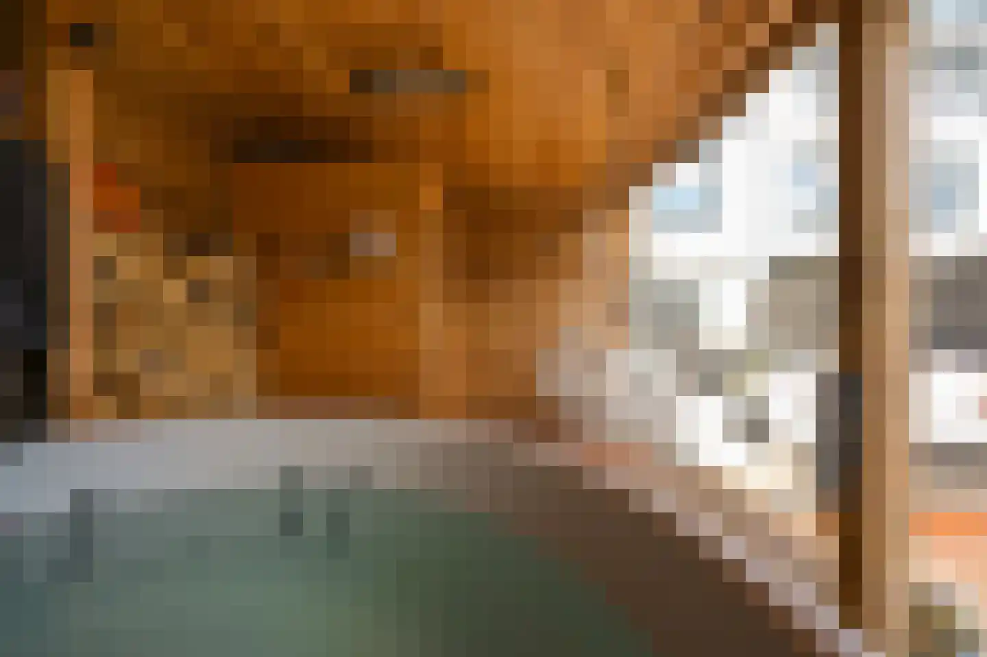 Rietgans 15 Uithoorn thumbnail 44