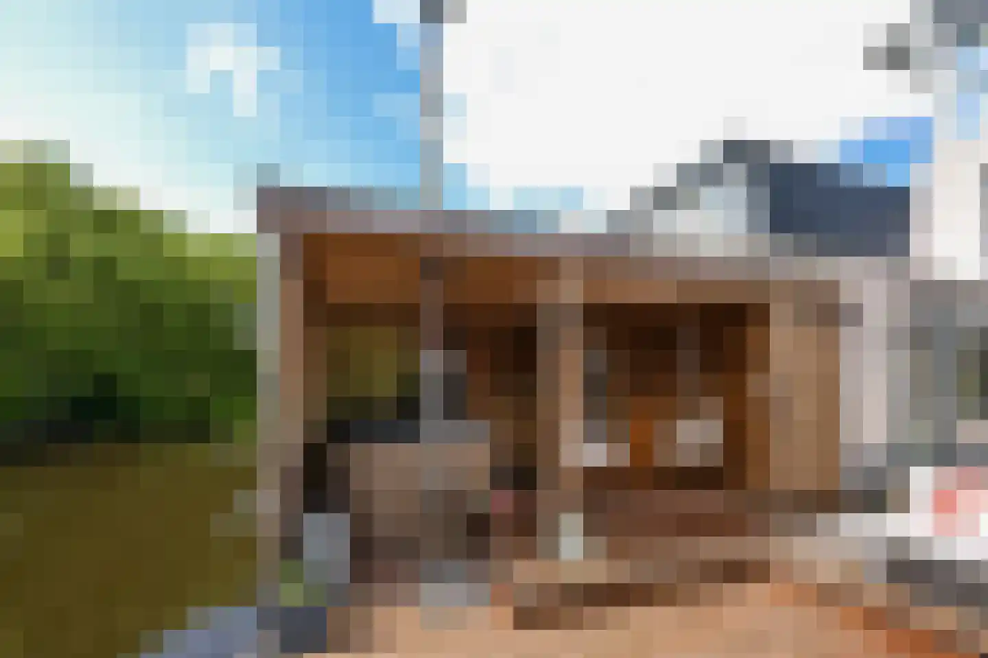 Rietgans 15 Uithoorn thumbnail 45