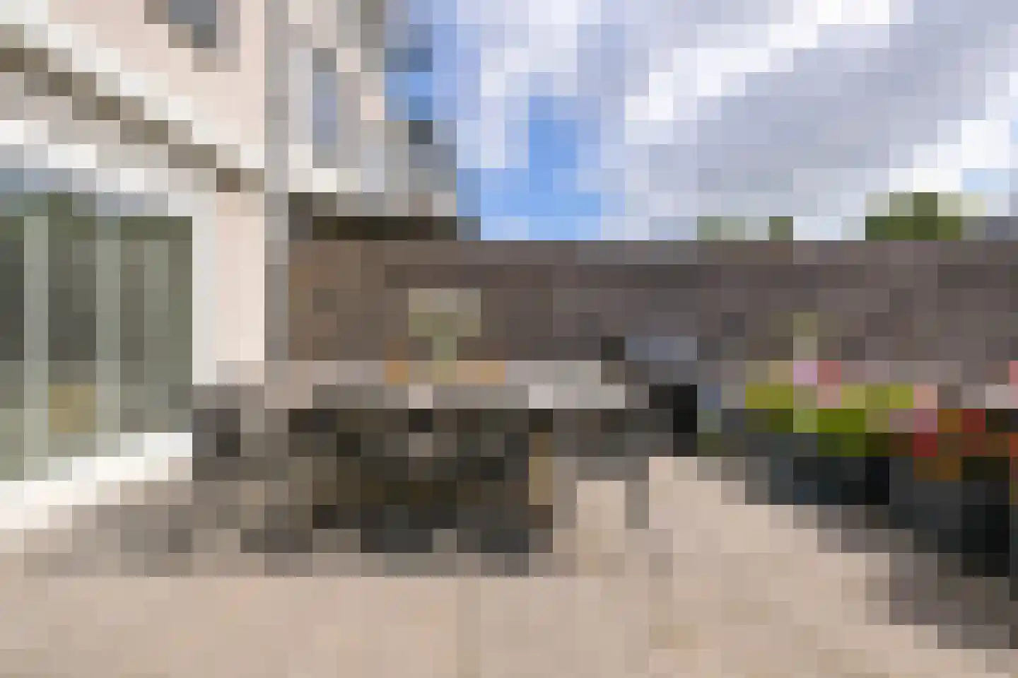 Rietgans 15 Uithoorn thumbnail 46