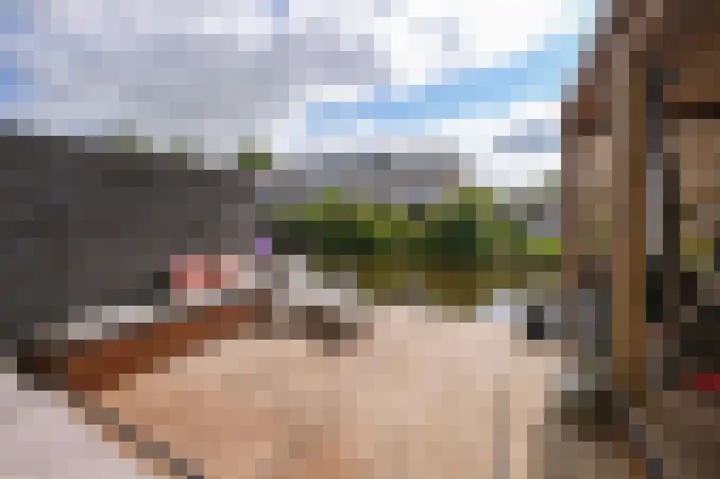 Rietgans 15 Uithoorn thumbnail 47