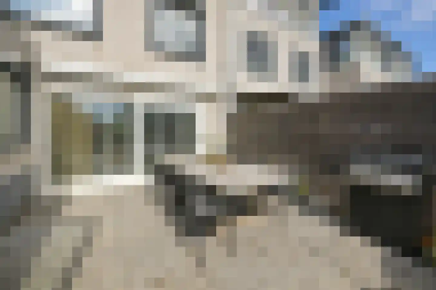 Rietgans 15 Uithoorn thumbnail 48