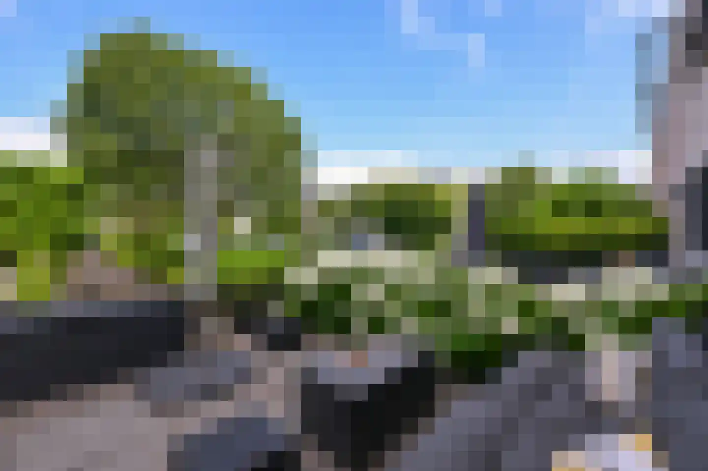 Rietgans 15 Uithoorn thumbnail 49