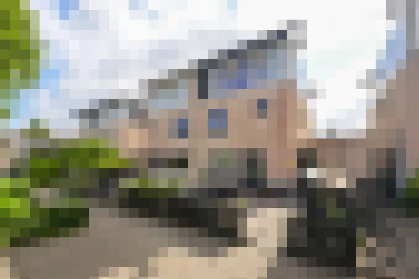 Rietgans 15 Uithoorn thumbnail 51