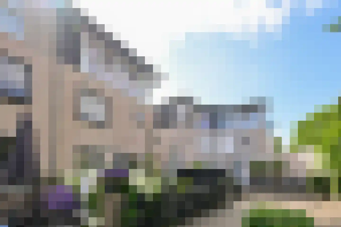 Rietgans 15 Uithoorn thumbnail 52