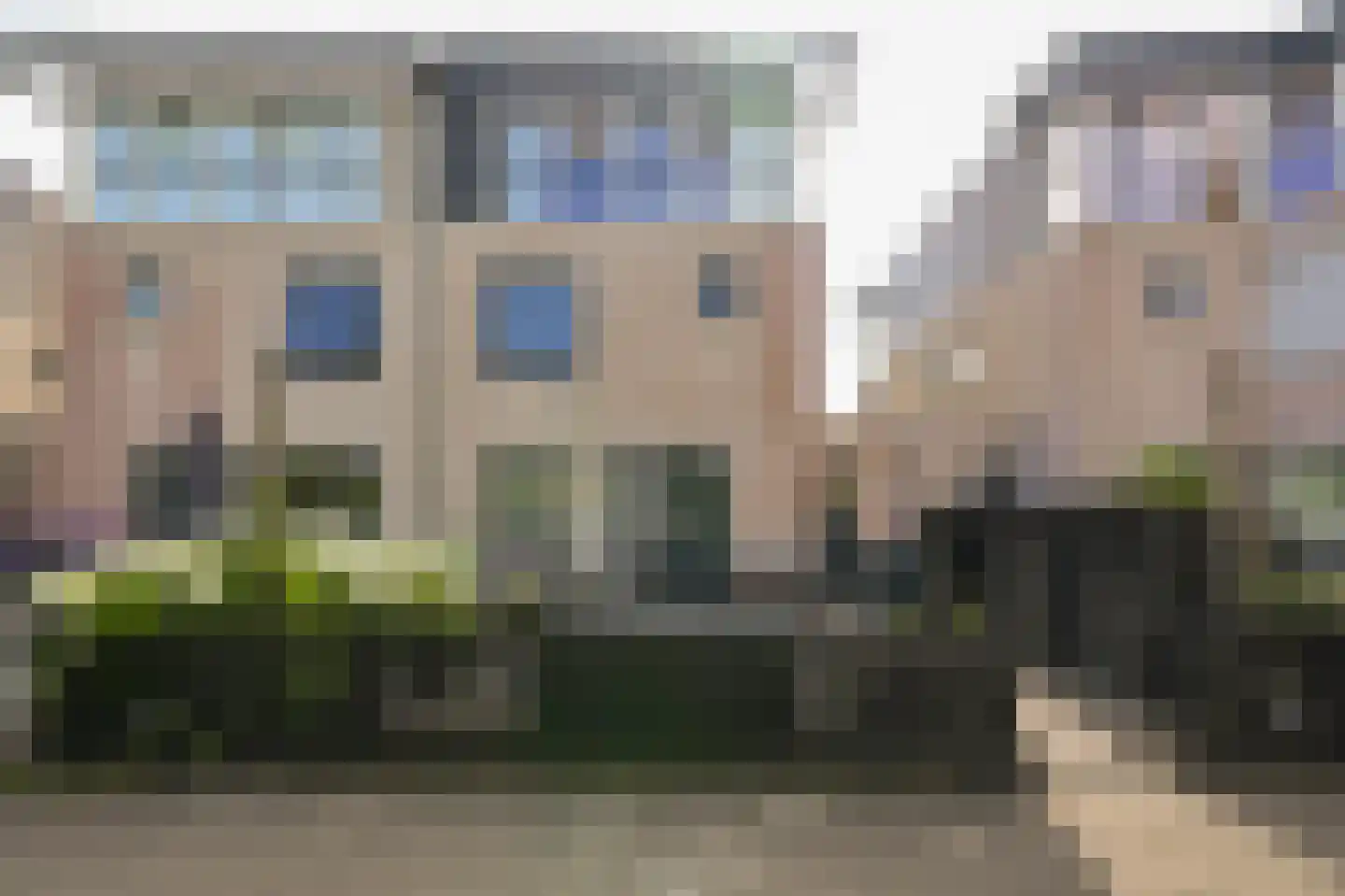Rietgans 15 Uithoorn thumbnail 53