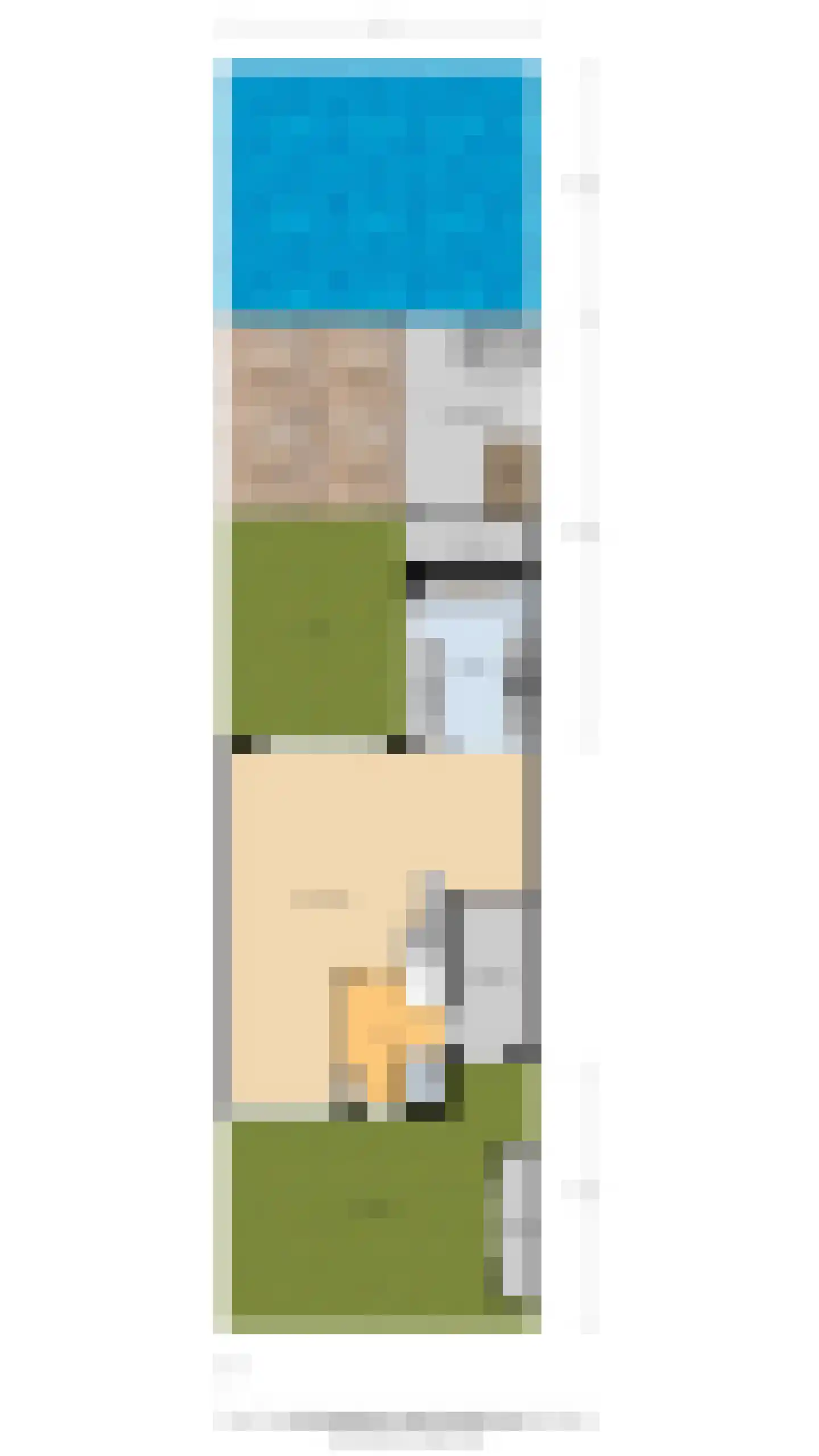Rietgans 15 Uithoorn thumbnail 59