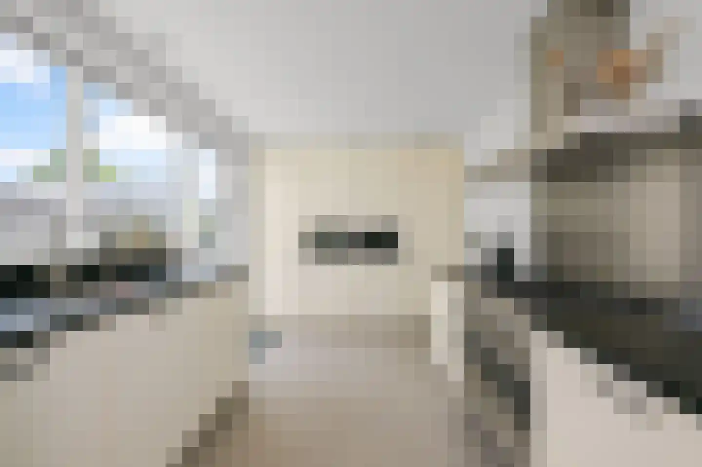 Rietgans 15 Uithoorn thumbnail 8