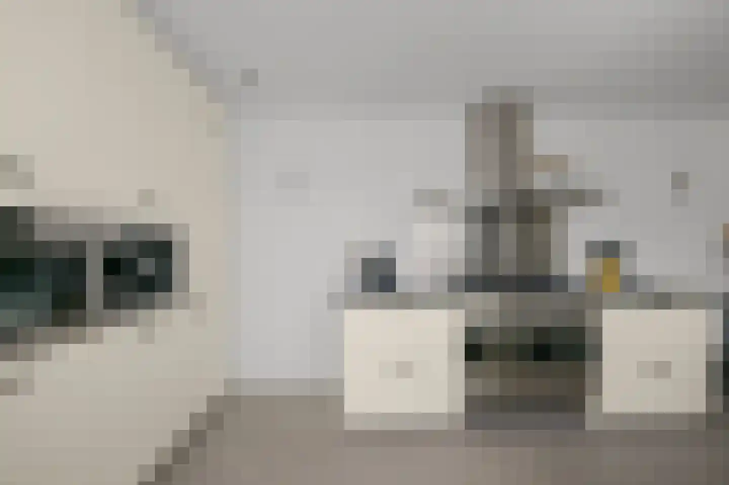 Rietgans 15 Uithoorn thumbnail 9