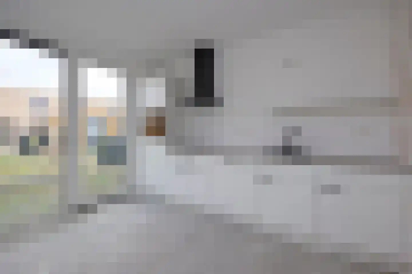 Rietgans 19 Terneuzen thumbnail 4