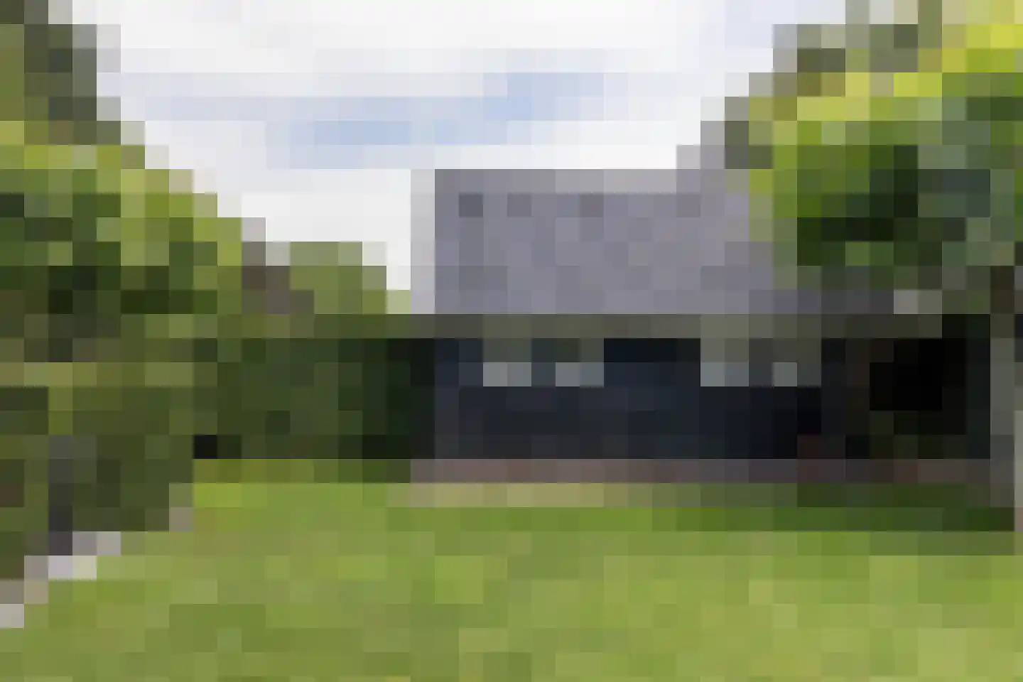 Rietgans 25 Spanbroek thumbnail 25