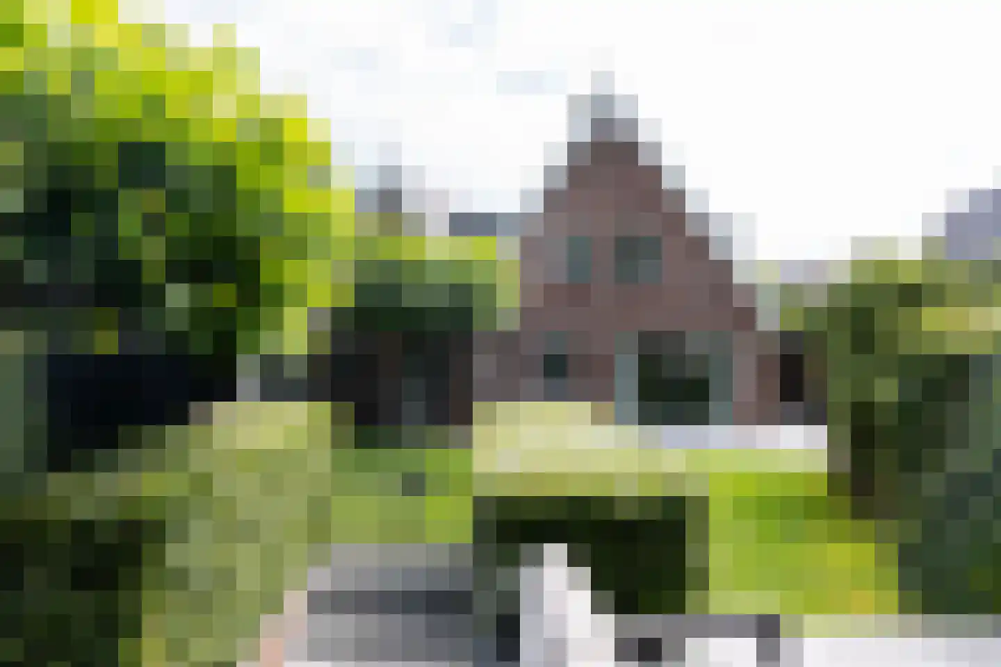 Rietgans 25 Spanbroek thumbnail 27